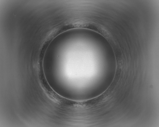 X0000055520690200508121044