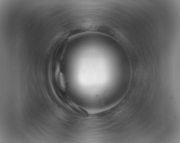 X0000055520693200508121044