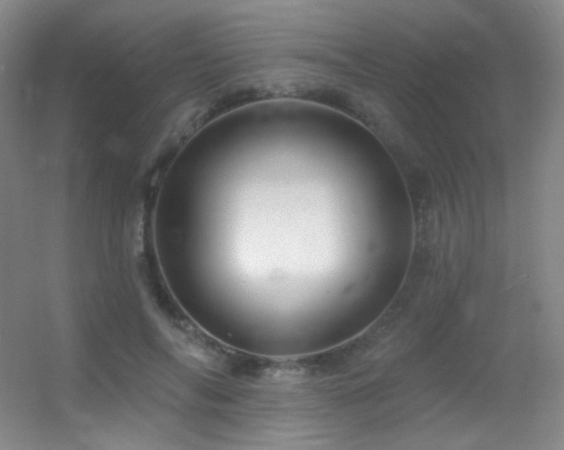 X0000055520694200508121044