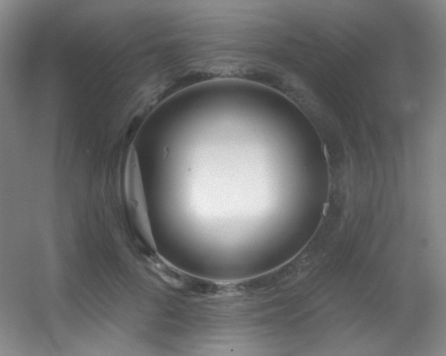X0000055520696200508121044