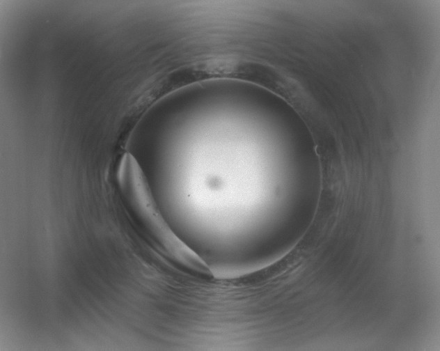 X0000055520697200508121044