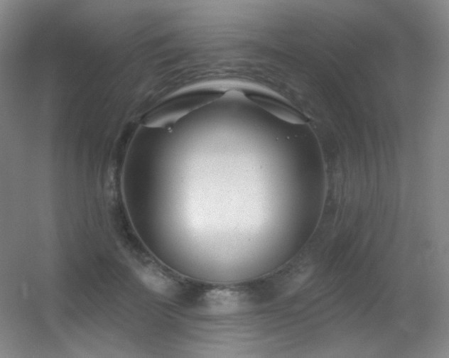 X0000055520699200508121043