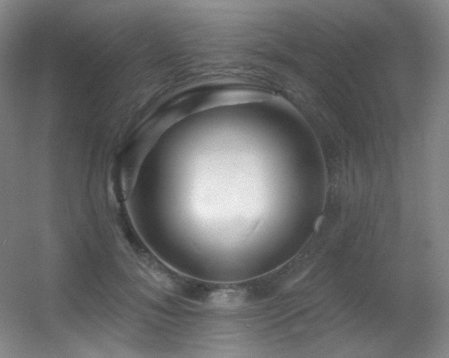 X0000055520700200508121043