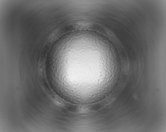 X0000055520701200508121043