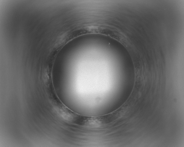 X0000055520702200508121043