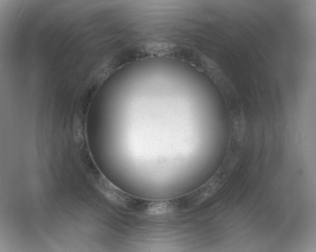 X0000055520705200508121043