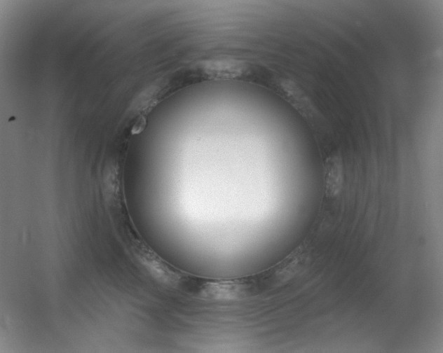 X0000055520713200508121043