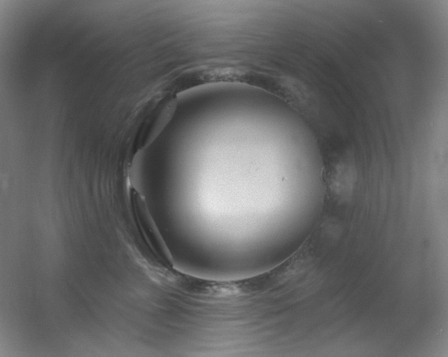 X0000055520715200508121043