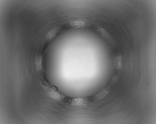 X0000055520717200508121043