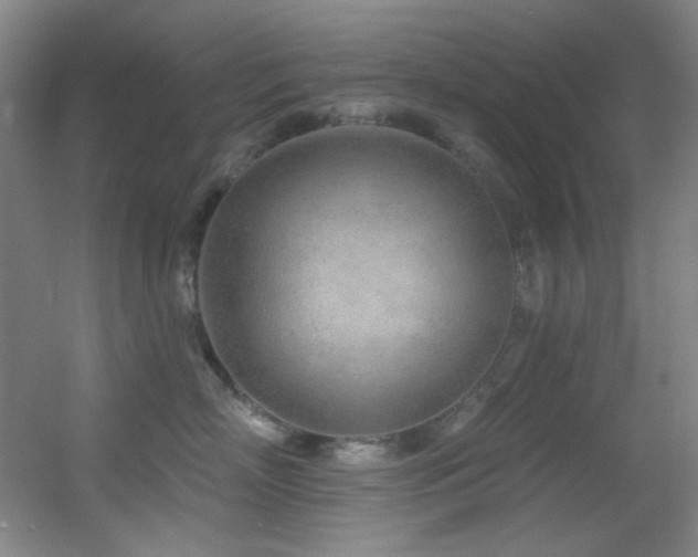 X0000055520718200508121043