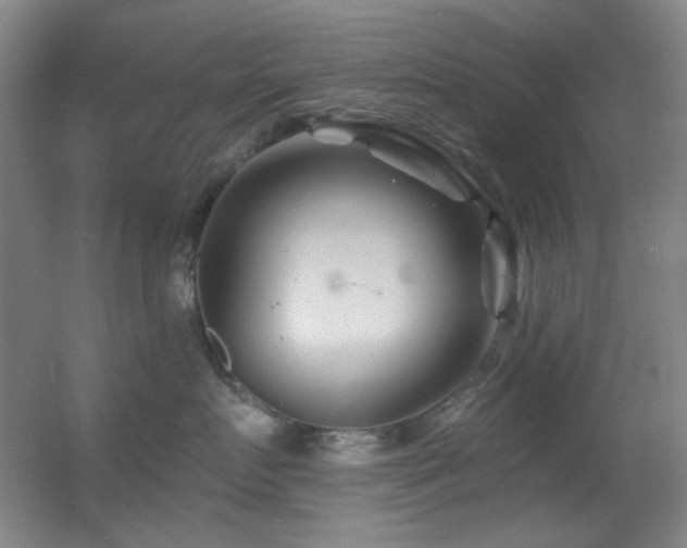 X0000055520719200508121043