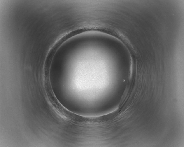 X0000055520722200508121042