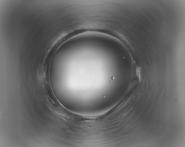 X0000055520723200508121042