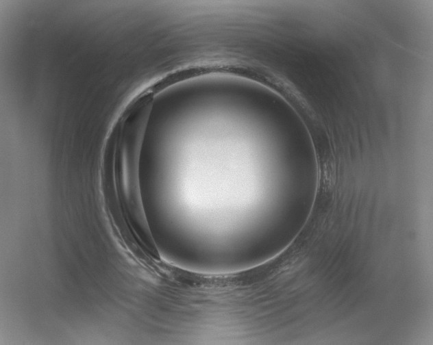 X0000055520724200508121042