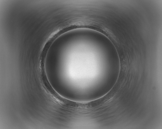 X0000055520727200508121042
