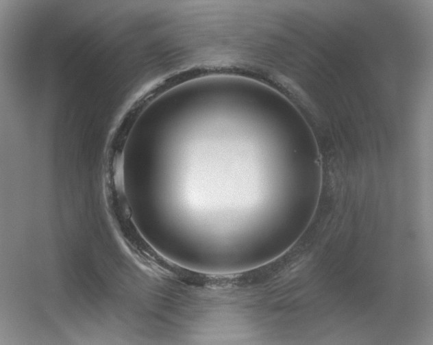 X0000055520728200508121042