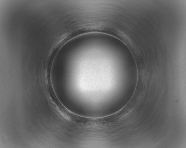 X0000055520729200508121042