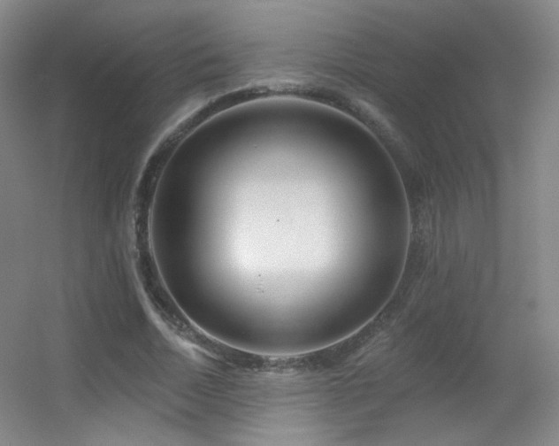 X0000055520730200508121042