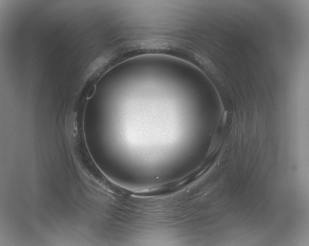 X0000055520731200508121042