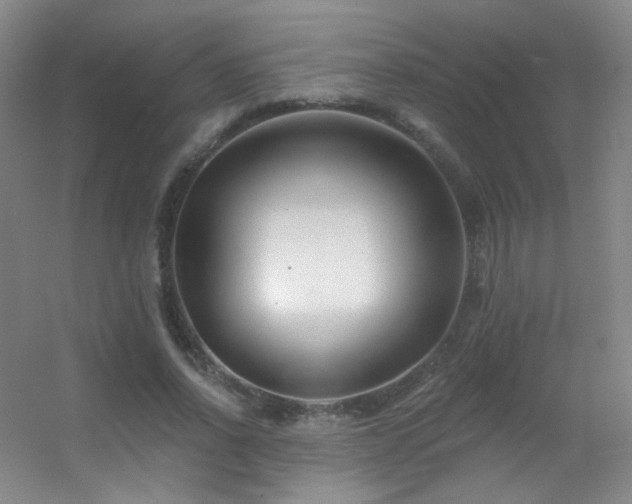 X0000055520734200508121043