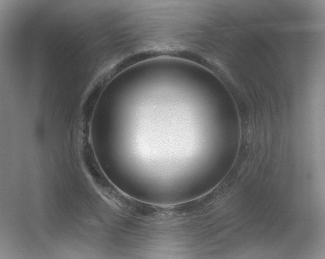 X0000055520736200508121043