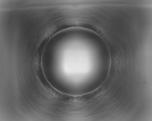 X0000055520739200508121043