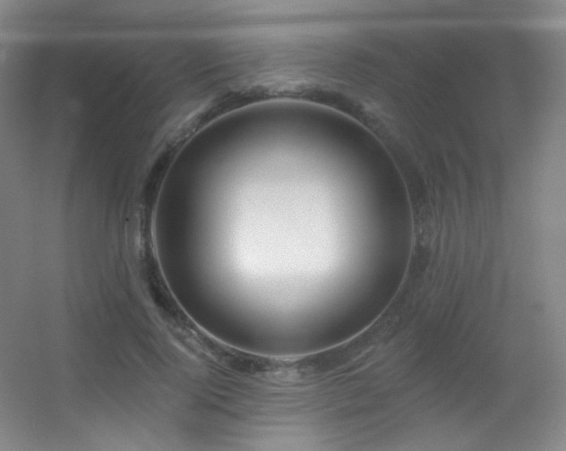 X0000055520740200508121043