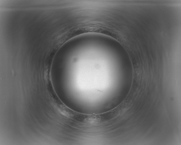 X0000055520745200508121043