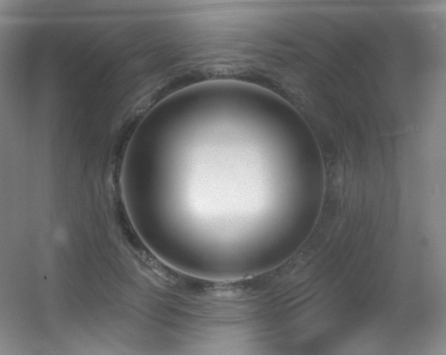 X0000055520746200508121043
