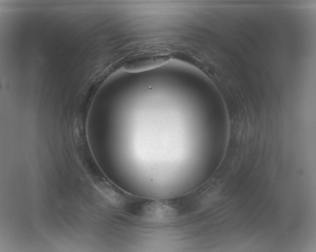 X0000055520747200508121043