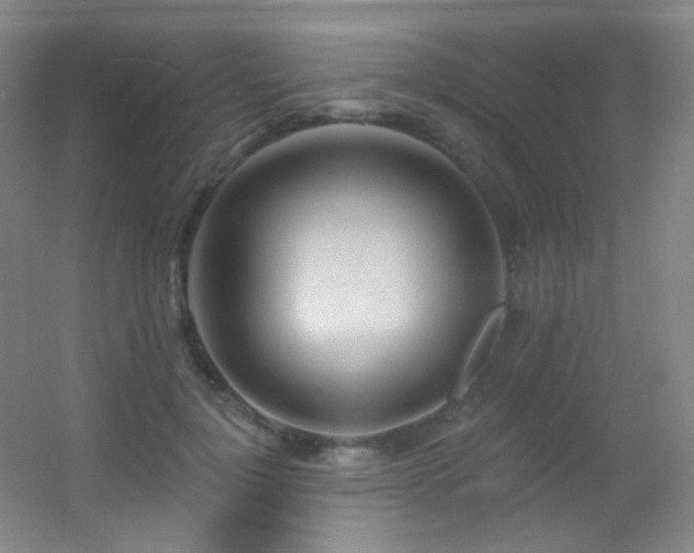 X0000055520748200508121043