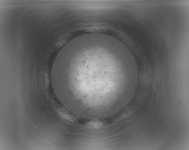 X0000055520749200508121043