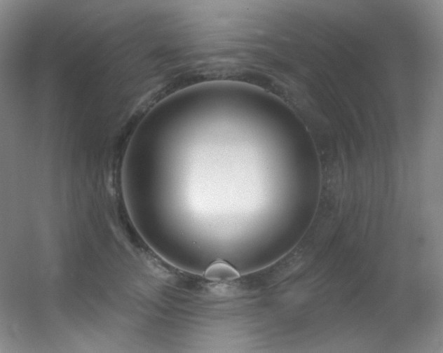 X0000055520755200508121043