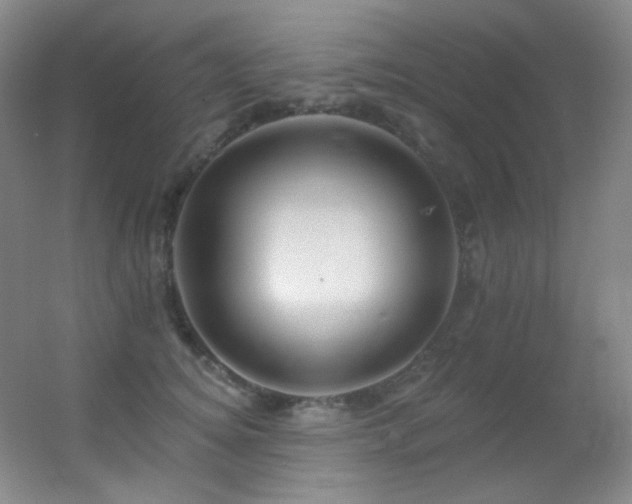 X0000055520756200508121043