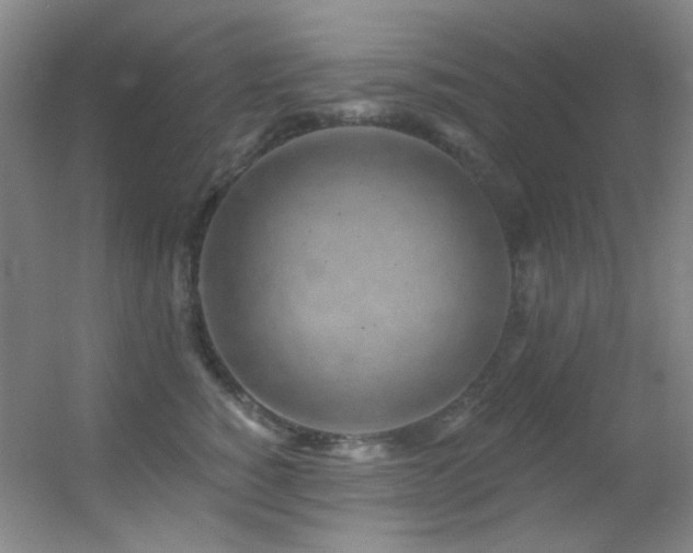 X0000055520760200508121043