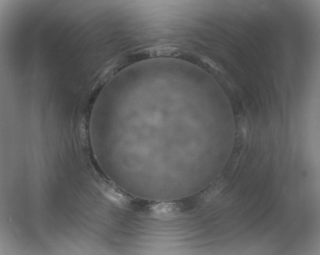 X0000055520761200508121043