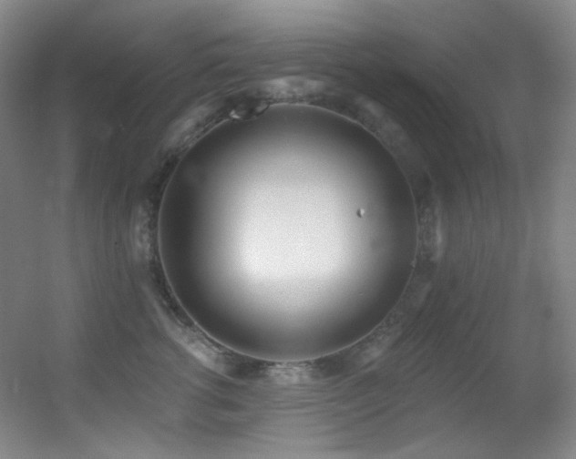 X0000055520762200508121043