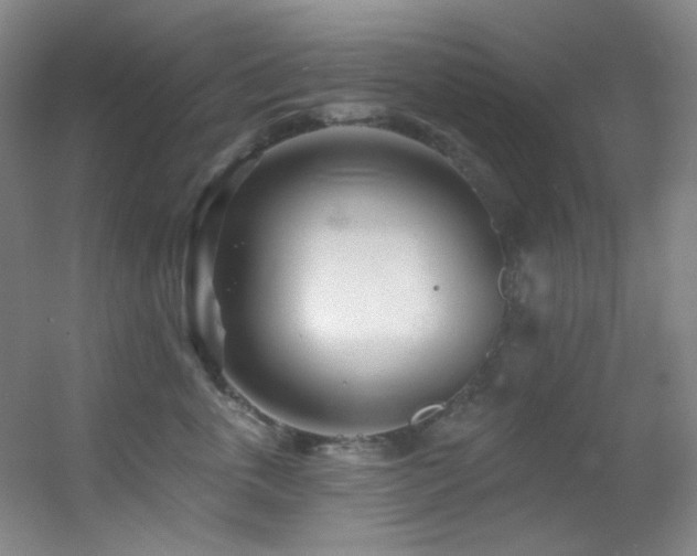 X0000055520763200508121043