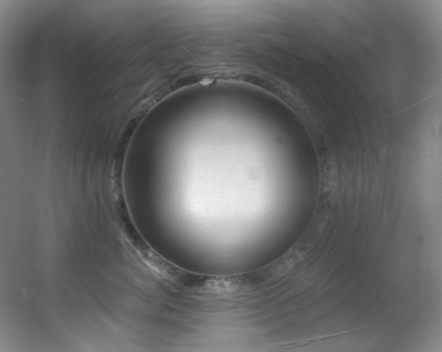 X0000055520764200508121043