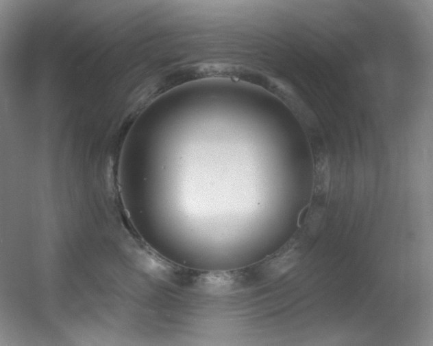 X0000055520765200508121043