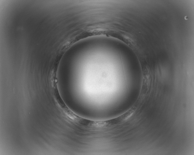X0000055520767200508121043