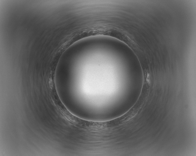 X0000055520771200508121042