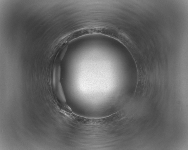 X0000055520773200508121042
