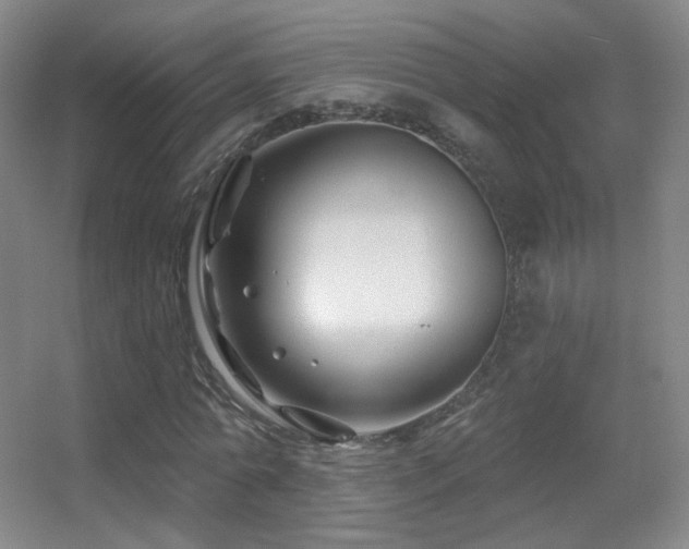 X0000055520774200508121042