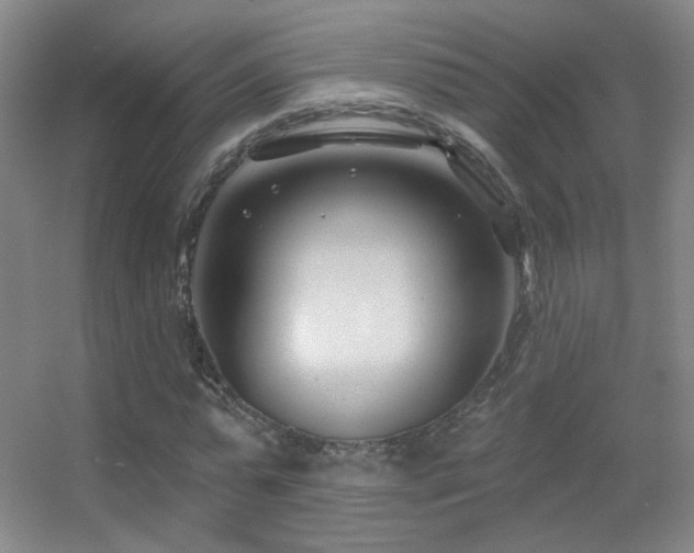 X0000055520775200508121042