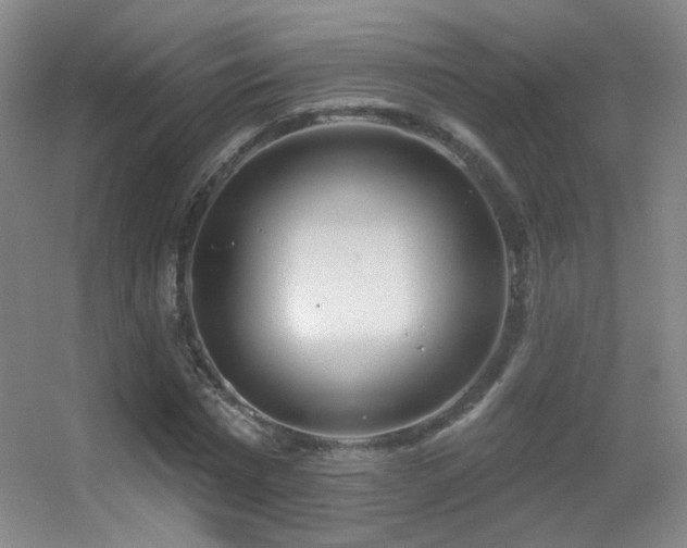 X0000055520777200508121042