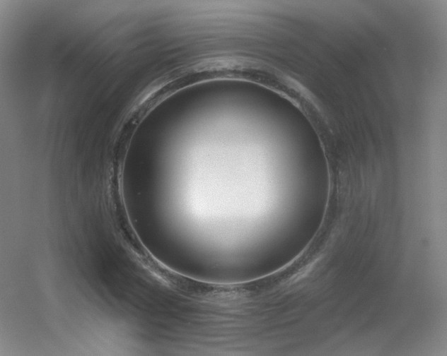 X0000055520778200508121042