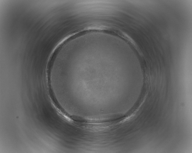 X0000055520779200508121042