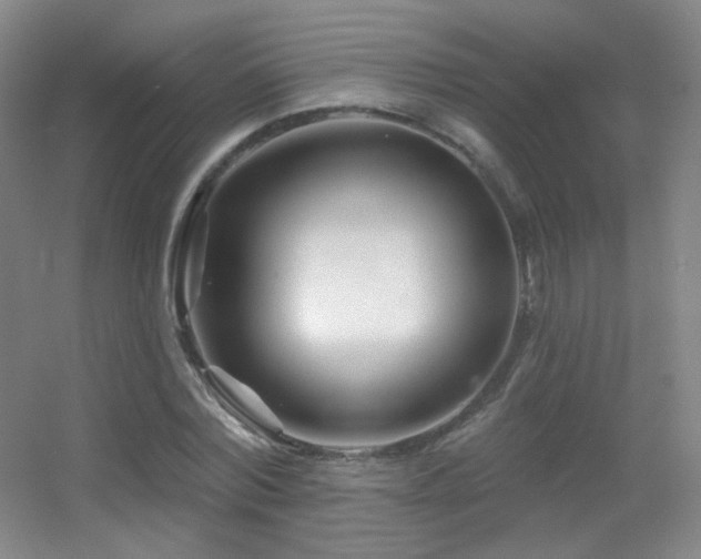 X0000055520780200508121042