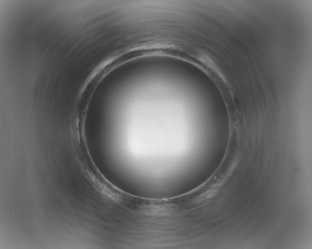 X0000055520781200508121042